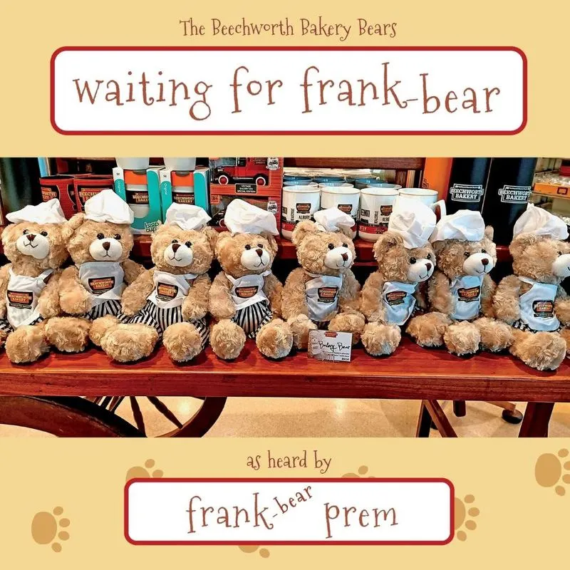 Livro Waiting For Frank-Bear