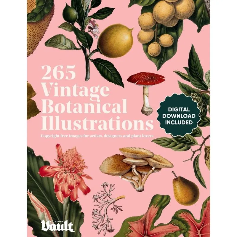 Vintage Botanical Illustration