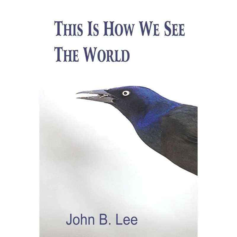 This is How We See the World