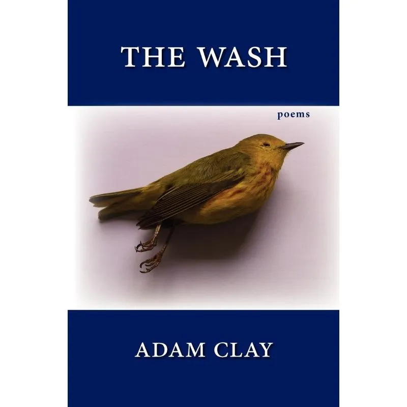 The Wash