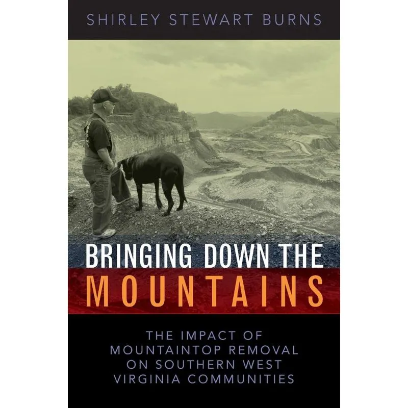 BRINGING DOWN THE MOUNTAINS