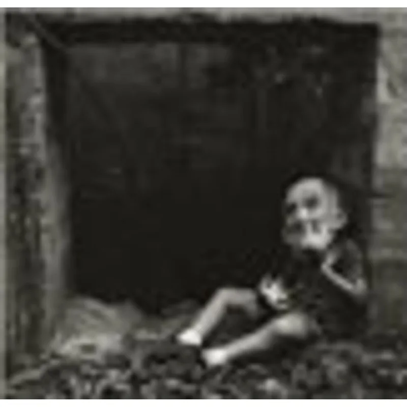 RALPH EUGENE MEATYARD