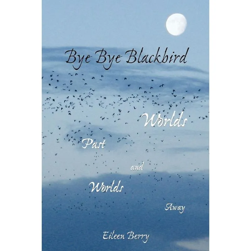Bye Bye Blackbird