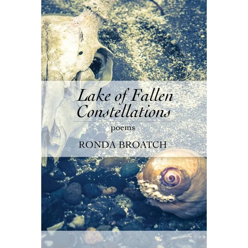 Lake of Fallen Constellations