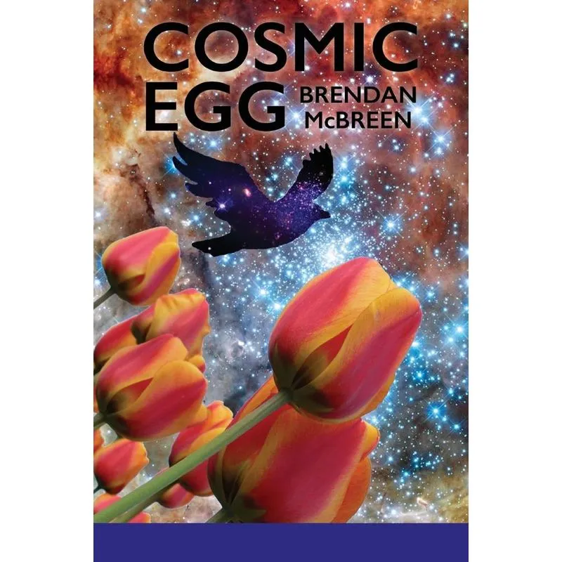 Cosmic Egg
