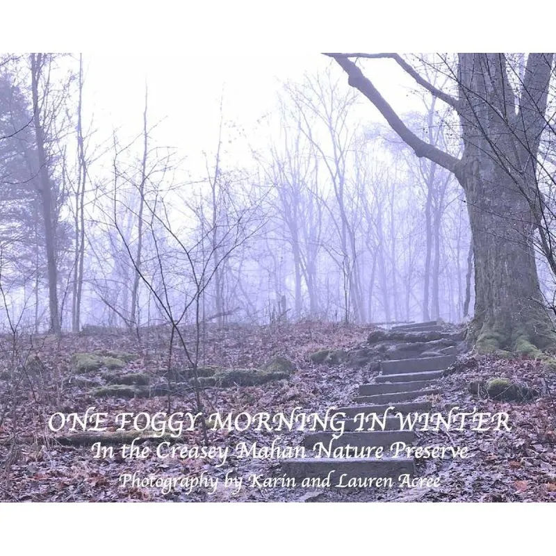 One Foggy Morning in Winter