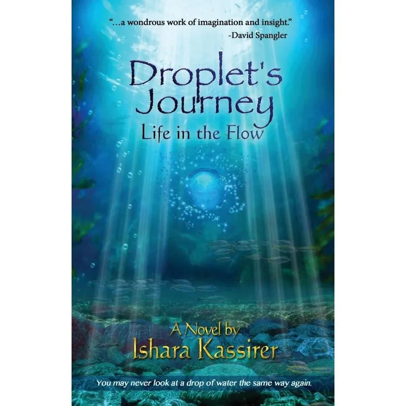 Droplets Journey