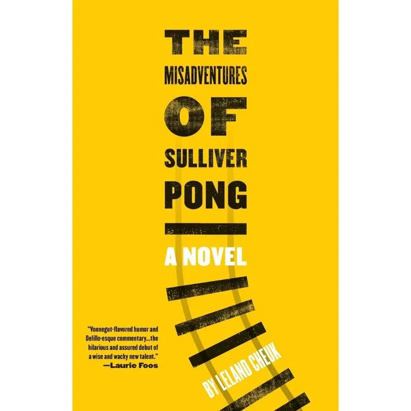The Misadventures Of Sulliver Pong