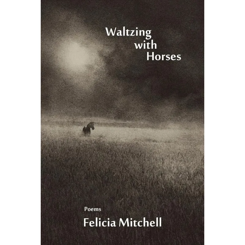 Waltzing With Horses