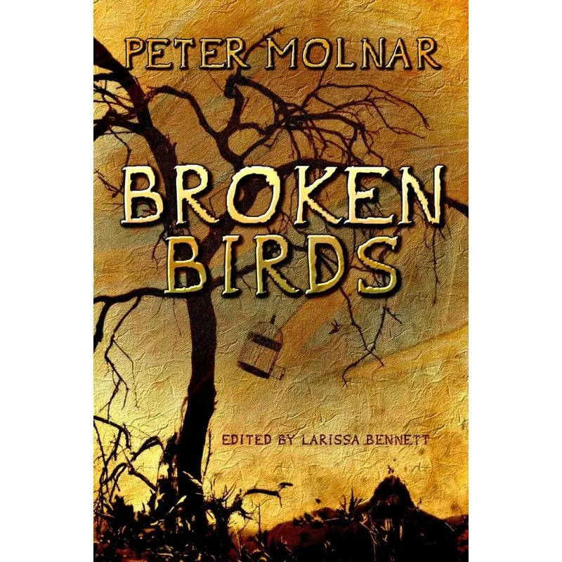 Broken Birds
