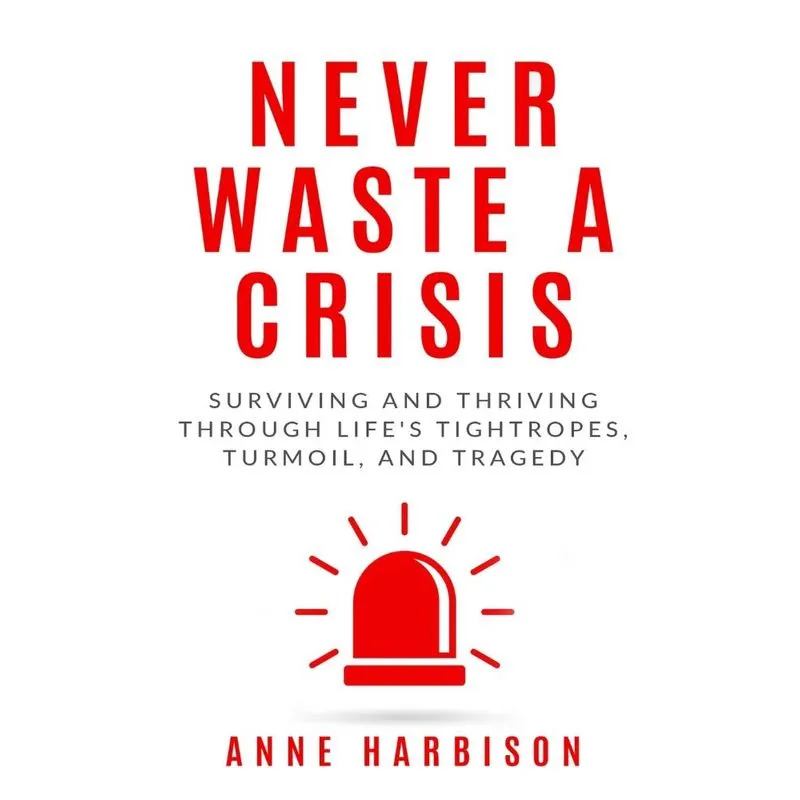 Never Waste a Crisis