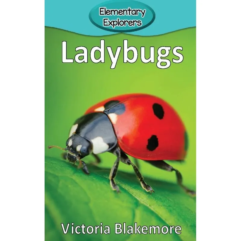 Ladybugs