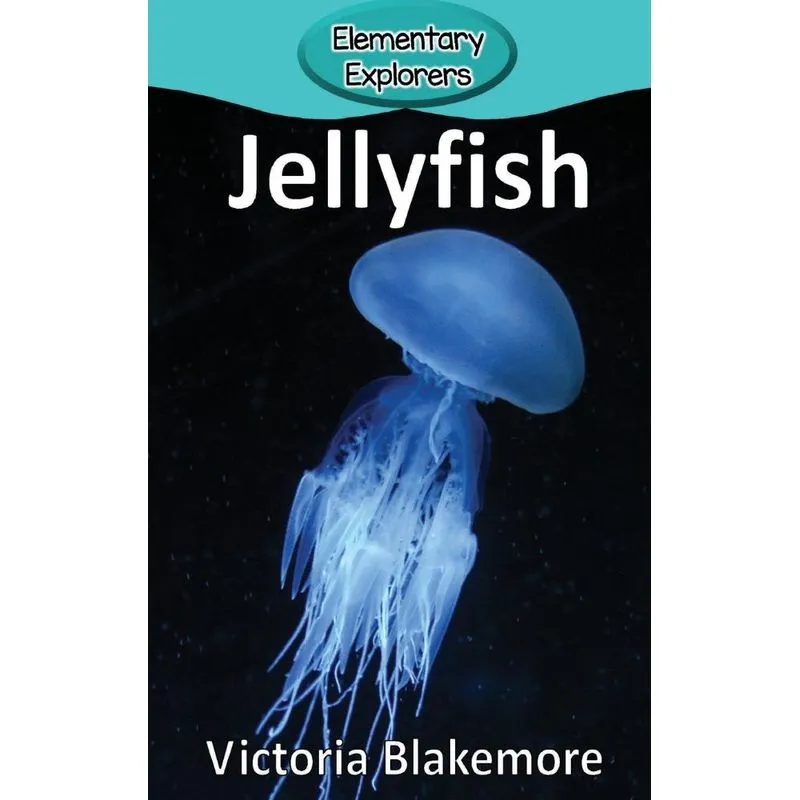 Jellyfish