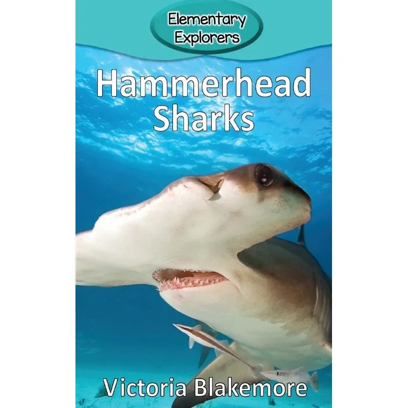 Hammerhead Sharks