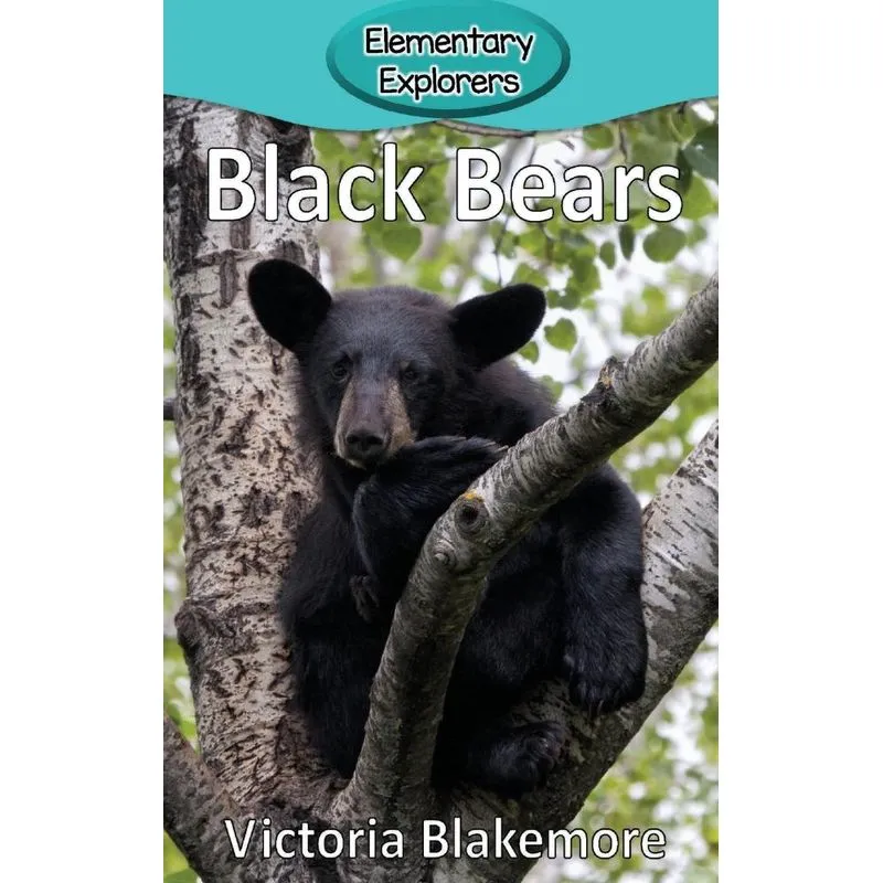 Black Bears
