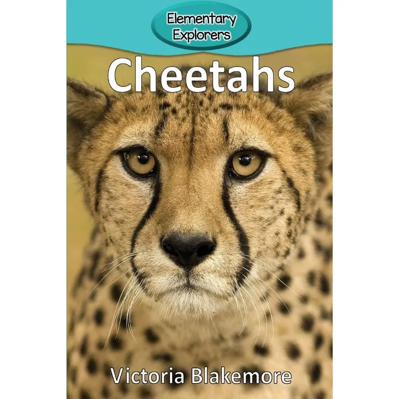 Cheetahs