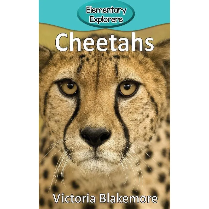 Cheetahs