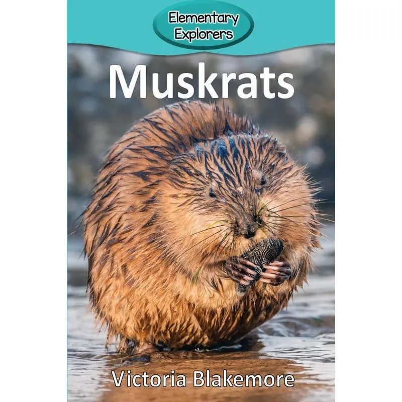 Muskrats