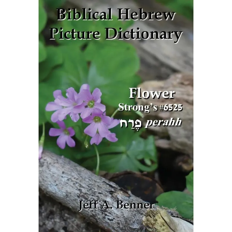 Biblical Hebrew Picture Dictionary