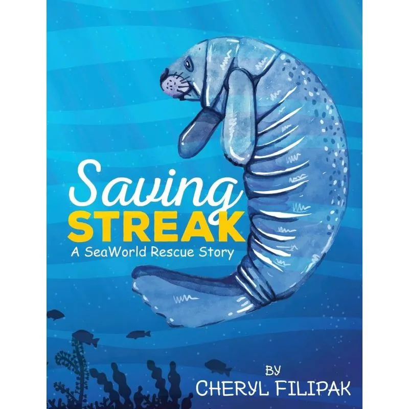 Saving Streak
