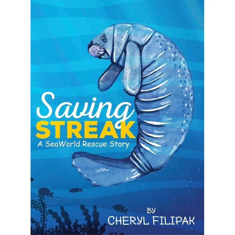 Saving Streak