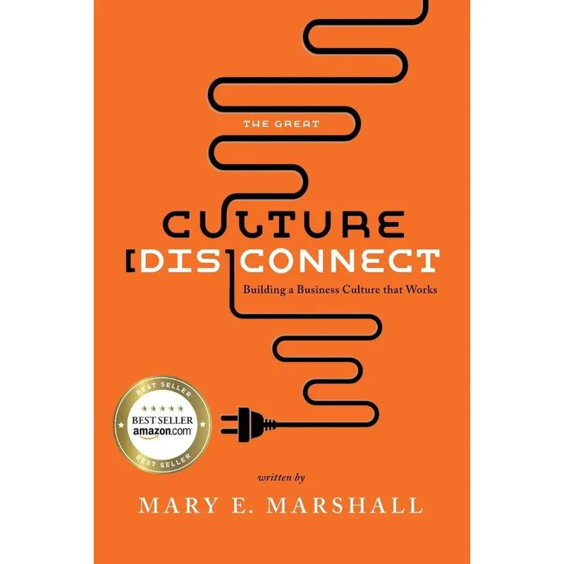 The Great Culture [dis]connect