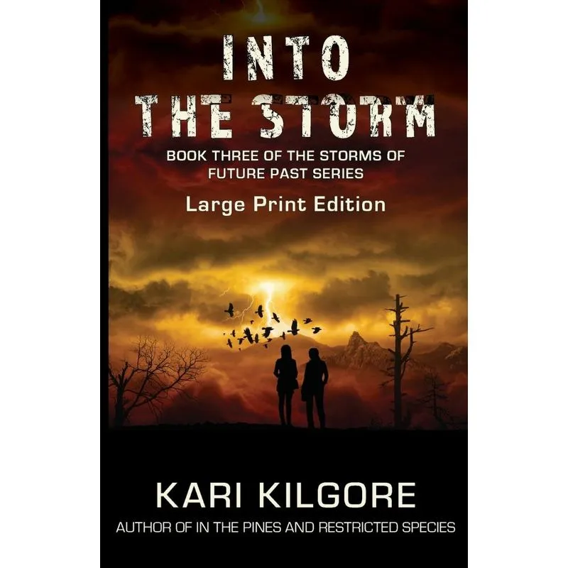 Into the Storm