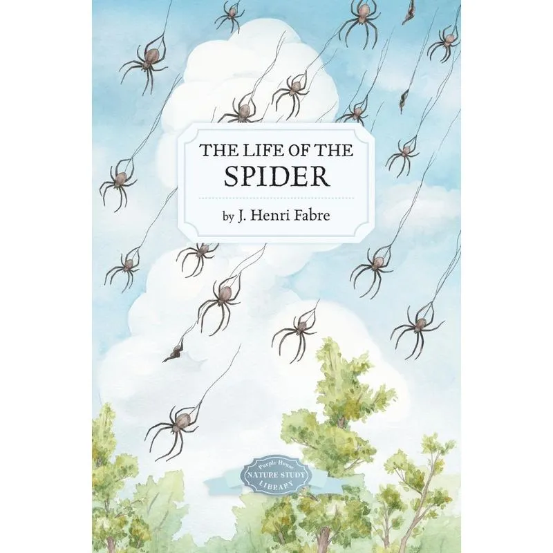 The Life Of The Spider