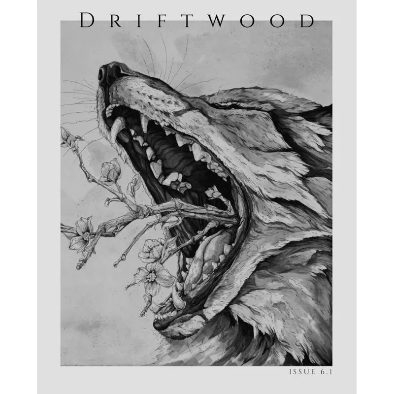 Driftwood Press 6.1