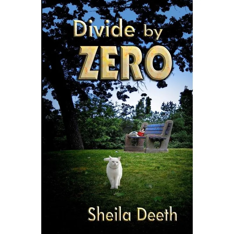 Divide by Zero