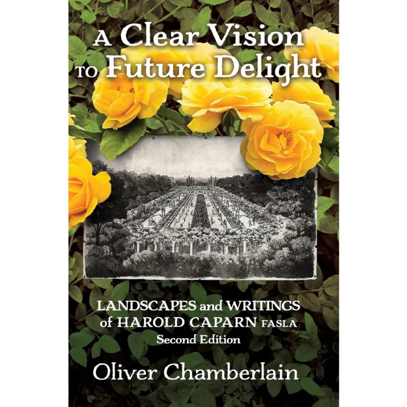 A Clear Vision to Future Delight