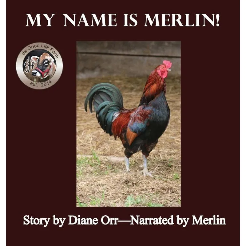 My Name is Merlin