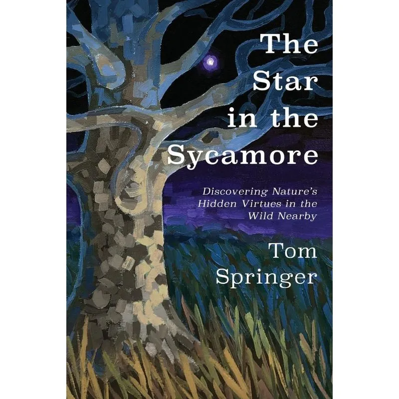 The Star in the Sycamore