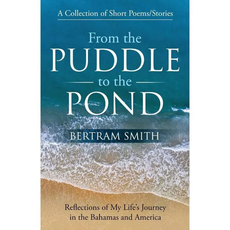 From the Puddle to the Pond
