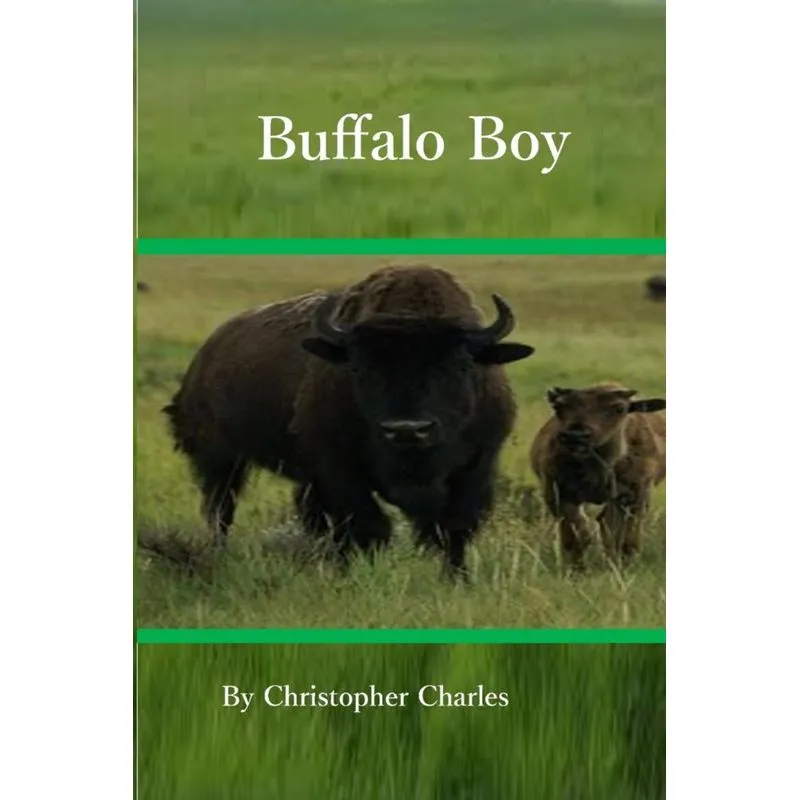 Buiffalo Boy