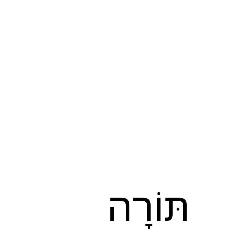 The Torah