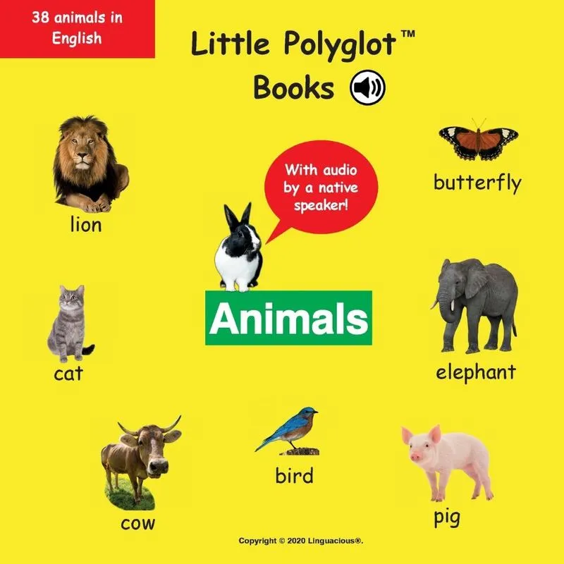 Animals