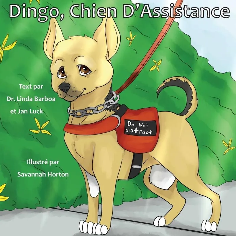 Dingo, Chien DAssistance