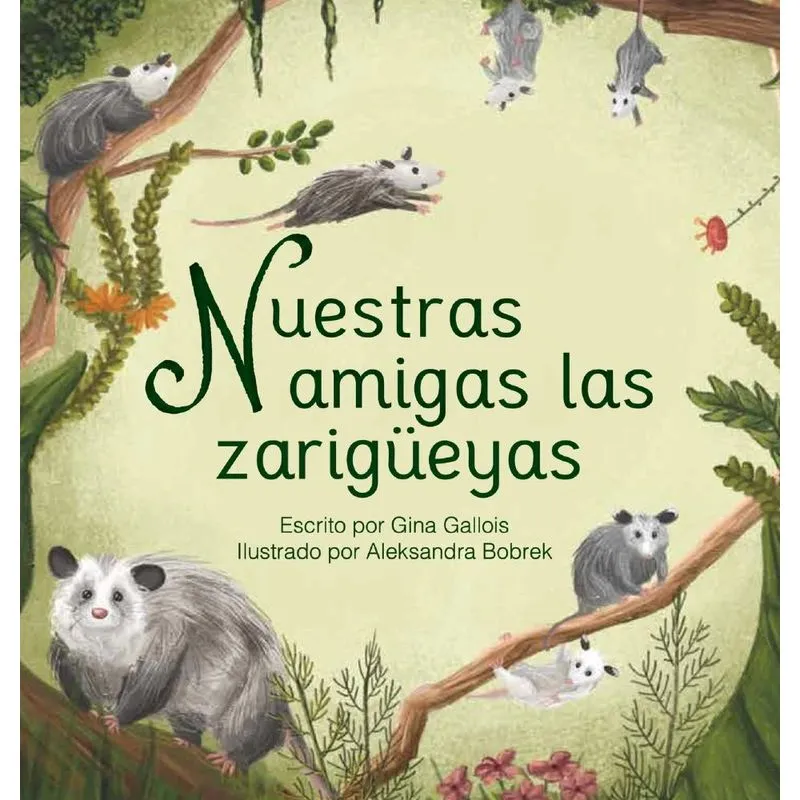 Nuestras amigas las zarigüeyas