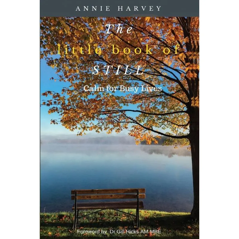 The Little Book Of Still