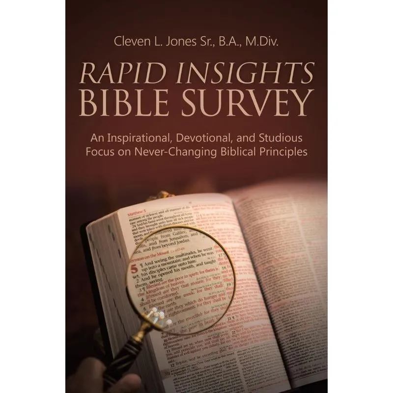 Rapid Insights Bible Survey