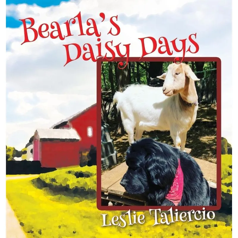 Bearlas Daisy Days