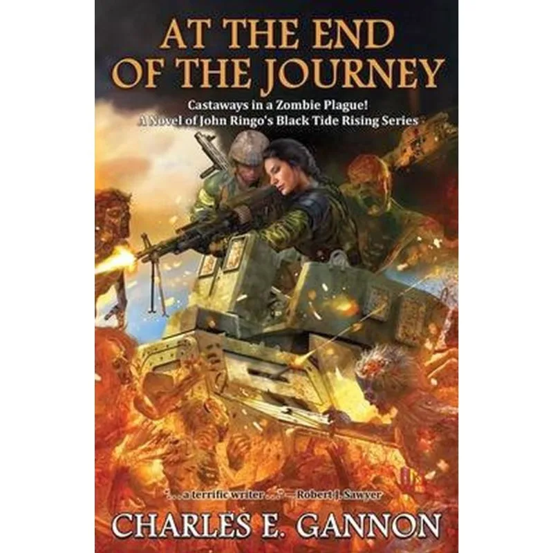 AT THE END OF THE JOURNEY - VOL. 9