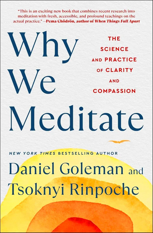 Why We Meditate: The Science And Practice Of Clarity And Compassion