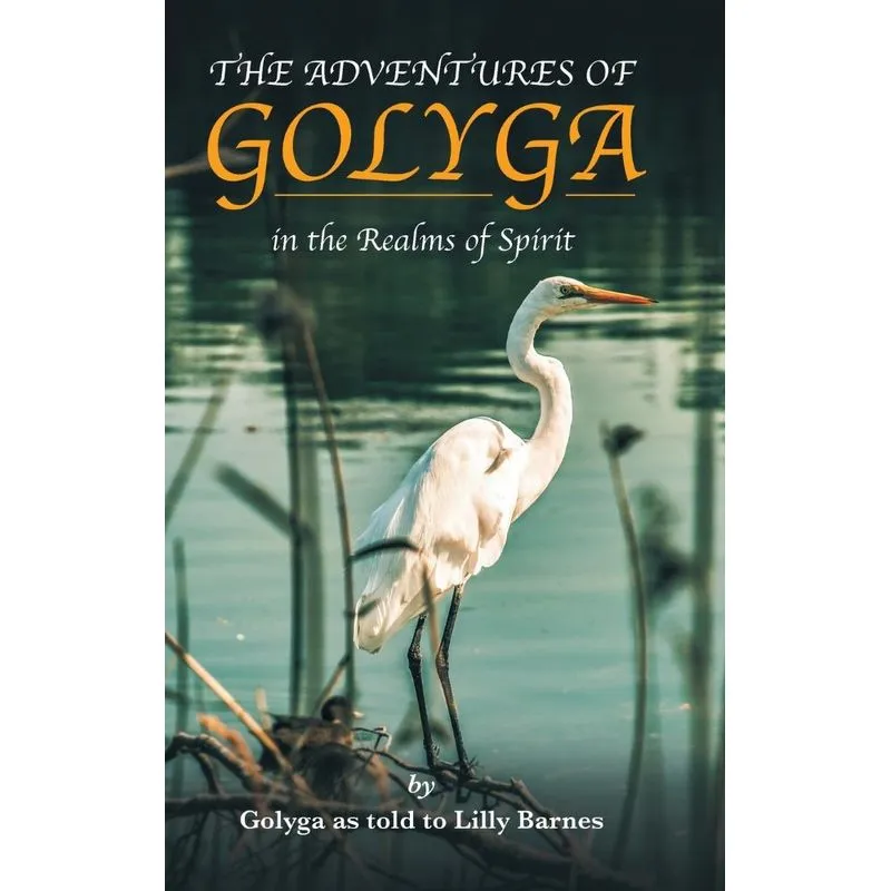 The Adventures of Golyga
