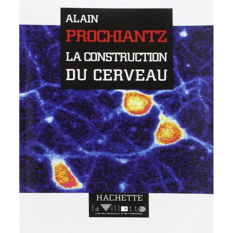 La Construction Du Cerveau