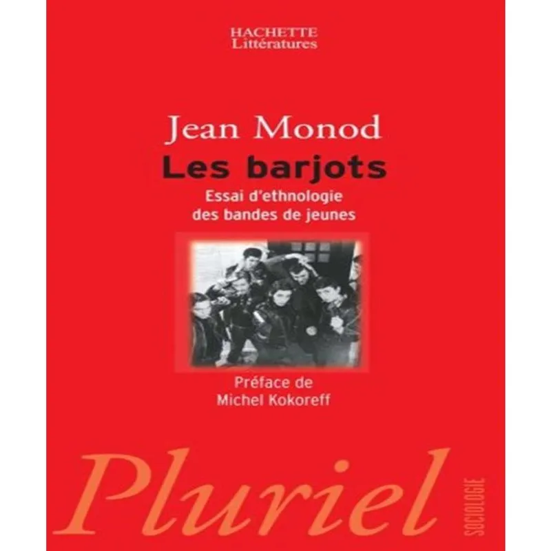 Les barjots: essai dethnologie des bandes de jeunes