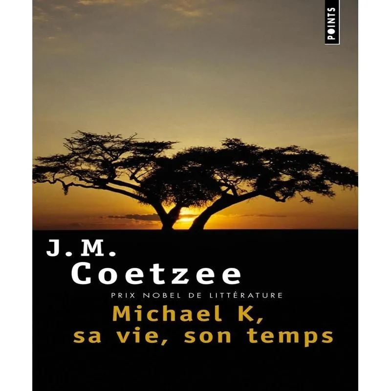 Michael K, Sa Vie, Son Temps