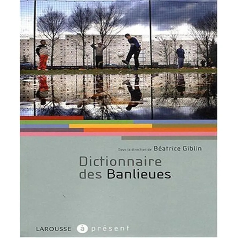 Dictionnaire Des Banlieues