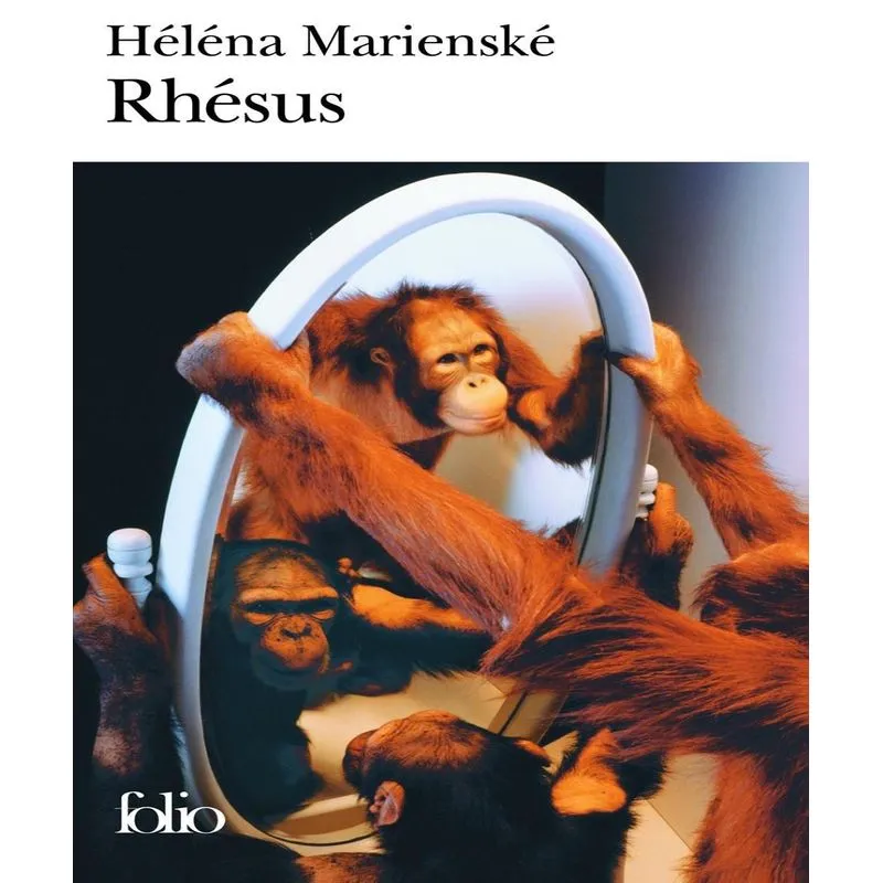 Rhesus